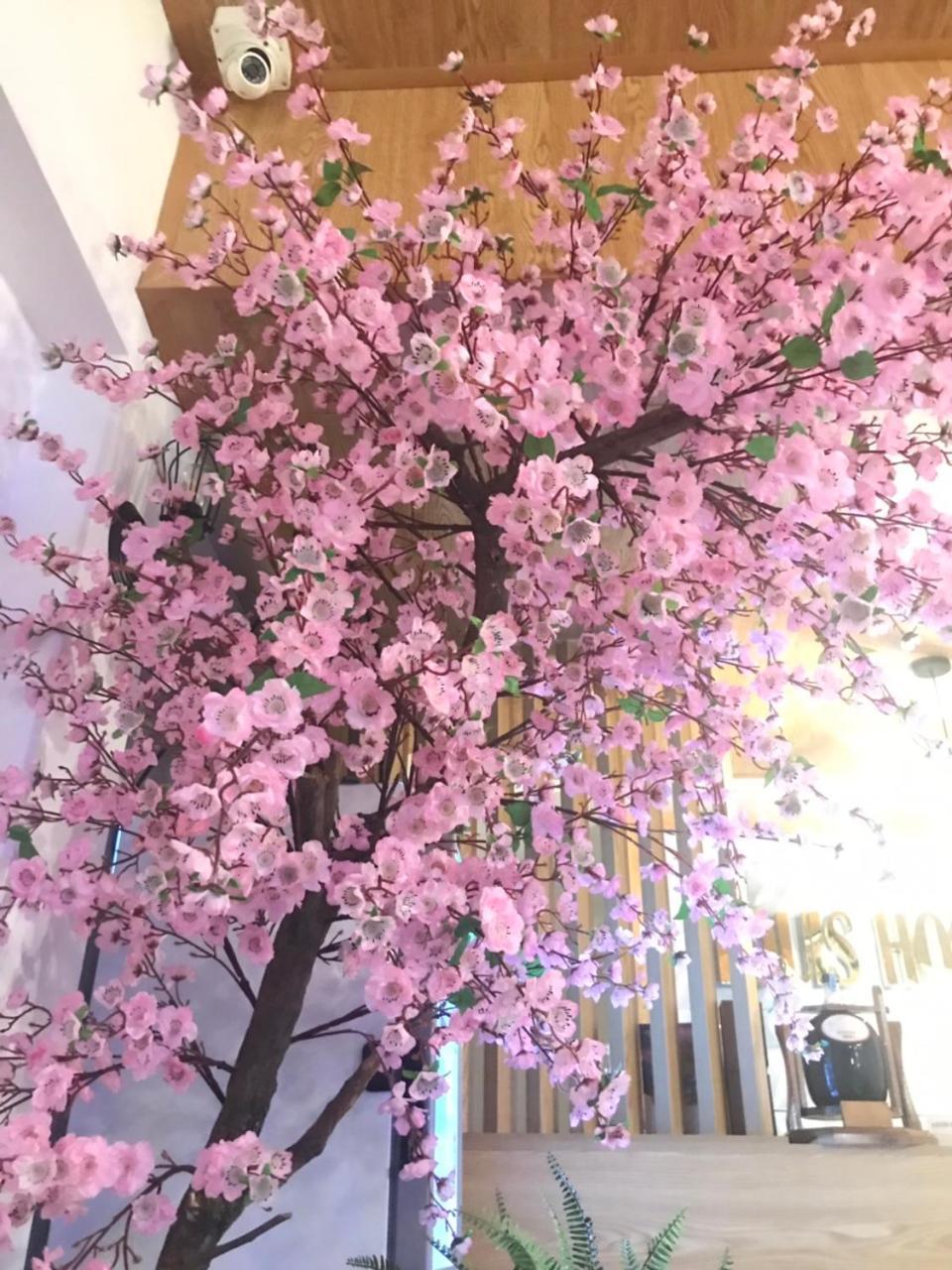 הו צ'י מין סיטי Louis Hotel - Bui Vien Walking Street מראה חיצוני תמונה