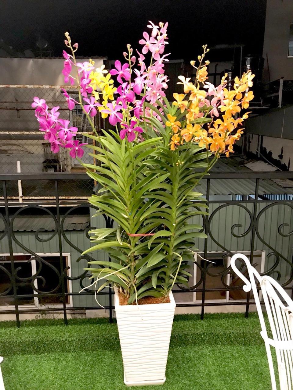 הו צ'י מין סיטי Louis Hotel - Bui Vien Walking Street מראה חיצוני תמונה